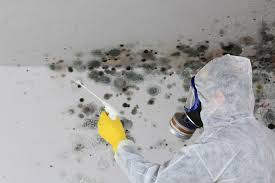 Best Mold Removal for HVAC Installations  in Menomonie, WI